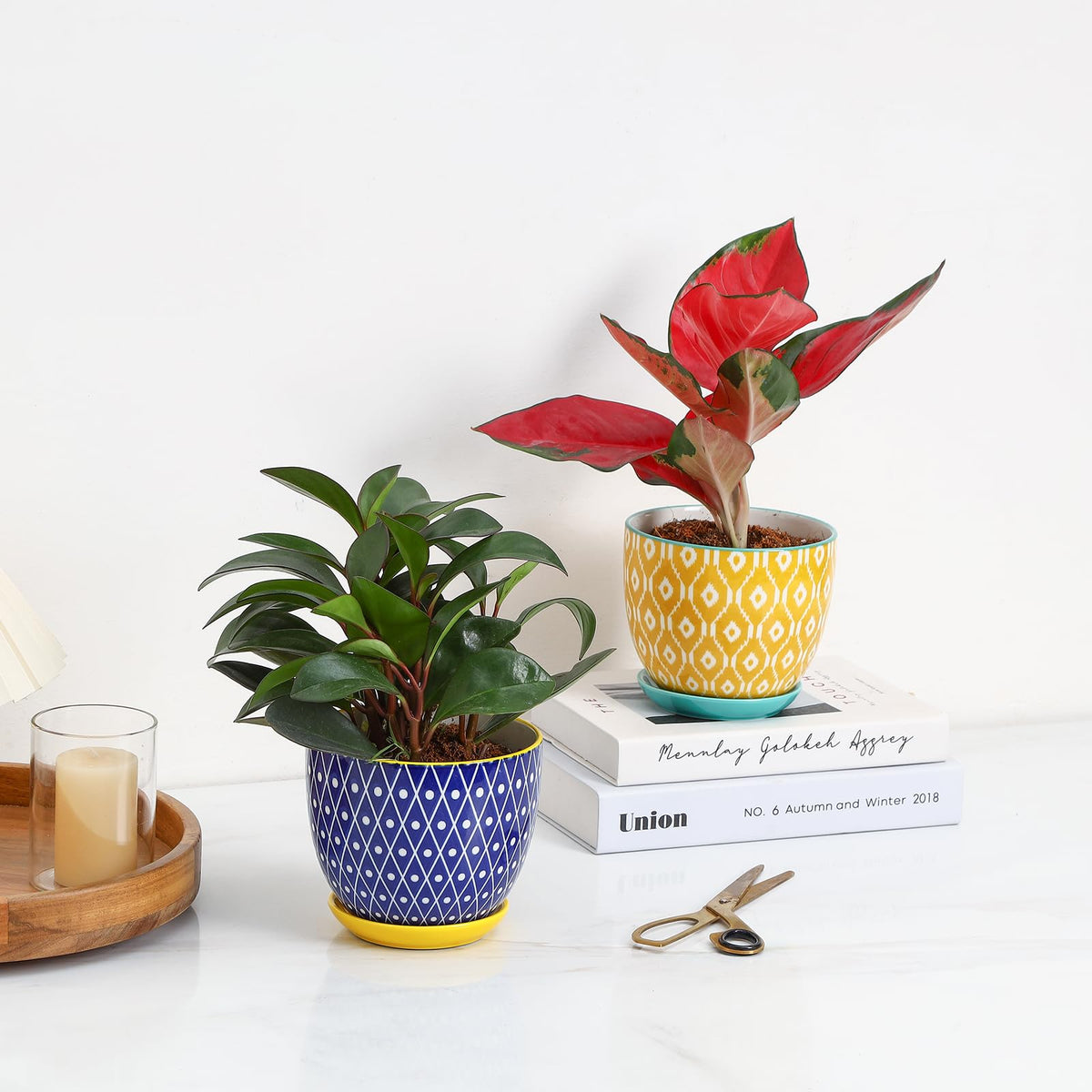 Selamica Ceramic Plant Pots, 5.6 Inch Flower Pots for Indoor Plants, Planters with Drainage Hole