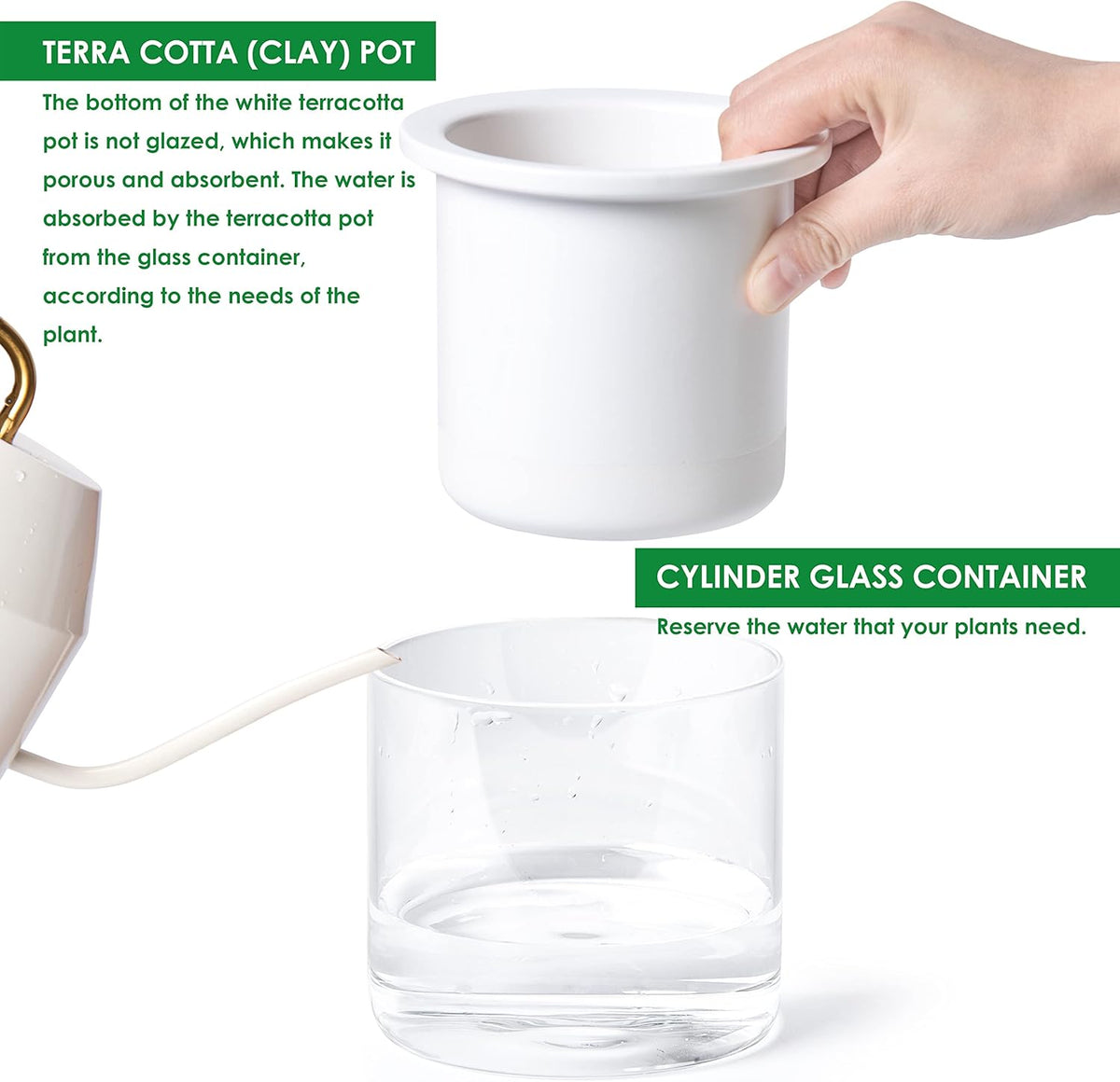 Phoenix Vine 4 Inch Self Watering Planter Pot, Design White Terracotta Pots for Plants, Indoor