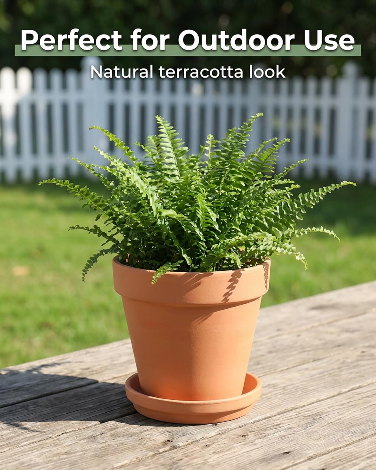 Riseuvo 6 Inch Terracotta Pots with Saucers – 4 Pack Medium Clay Flower Pots with Drainage