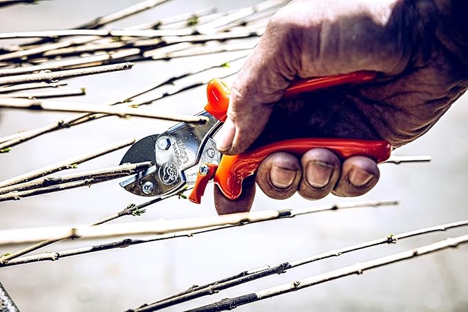 Original LÖWE 5 Professional Anvil Pruning Shears 5.107 with Stainless and Non-Stick Coated Steel