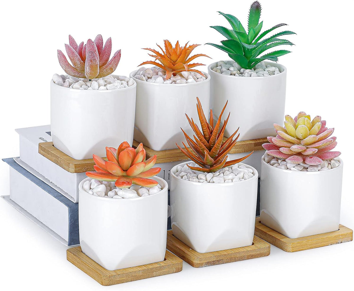 ARTKETTY Succulent Pots - 3 Inch Small Succulent Planter Pot with Drainage Trays Set of 6, Ceramic