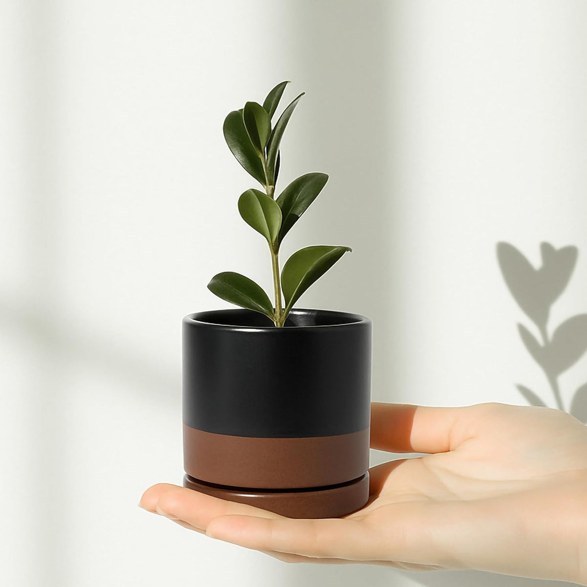 D'vine Dev Set of 4 Small Ceramic Plant Pots, 3.5 Inch Succulent Planter Pot for Plants with
