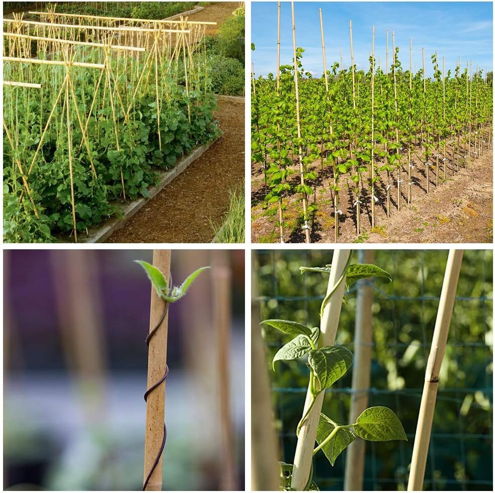 Mininfa Natural Bamboo Stakes 6 Feet, Eco-Friendly Garden Stakes, Plant Stakes Supports Climbing