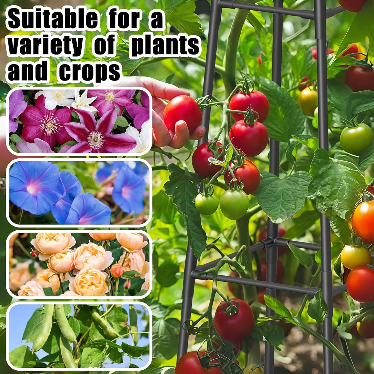 6FT Obelisk Trellis for Climbing Plants Outdoor, 16mm Rust-Proof Extra Thickened Plastic-Coated