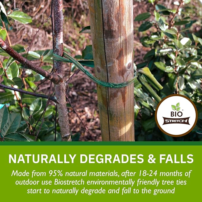 Extra Wide Soft Tree Ties - Strong & Stretchy Support for Large Plants & Young Trees
