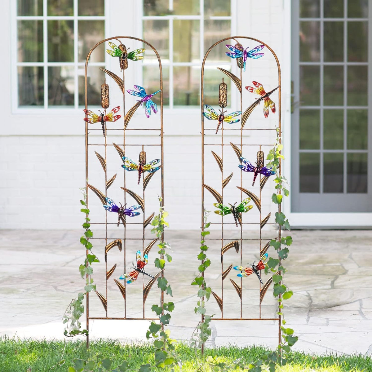 LEWIS&WAYNE 2 Pack Metal Garden Trellis with Colorful Dragonfly 60 Inch High Outdoor Decoration