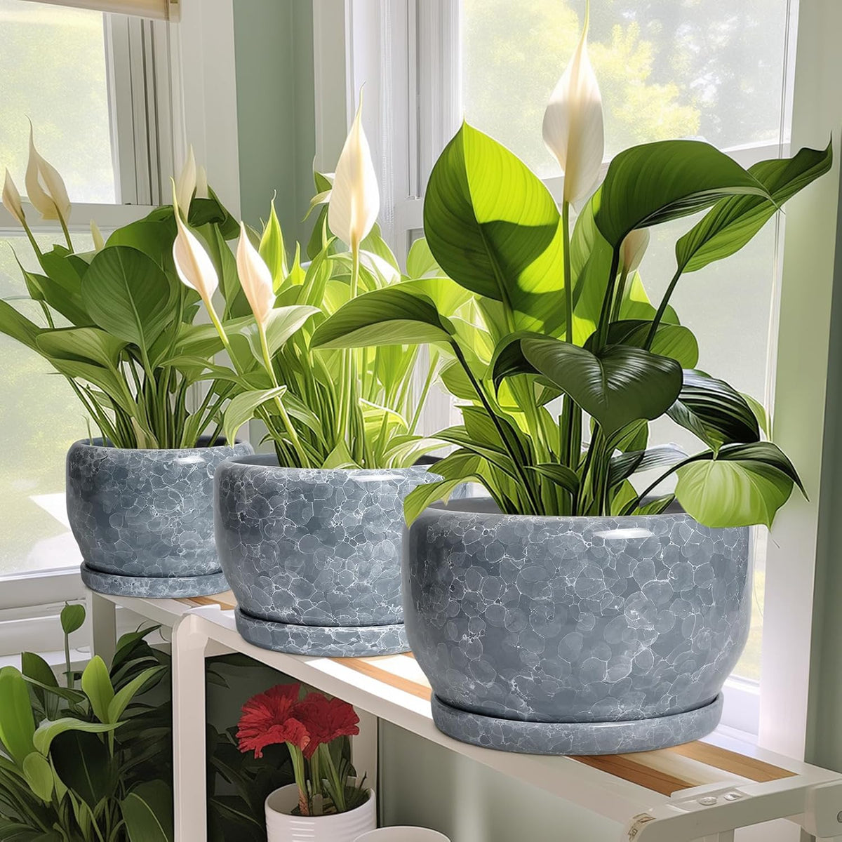 SQOWL 8 inch Plant pots Indoor - Ceramic Planter with Drainage Hole and Plant Saucer, Decorative