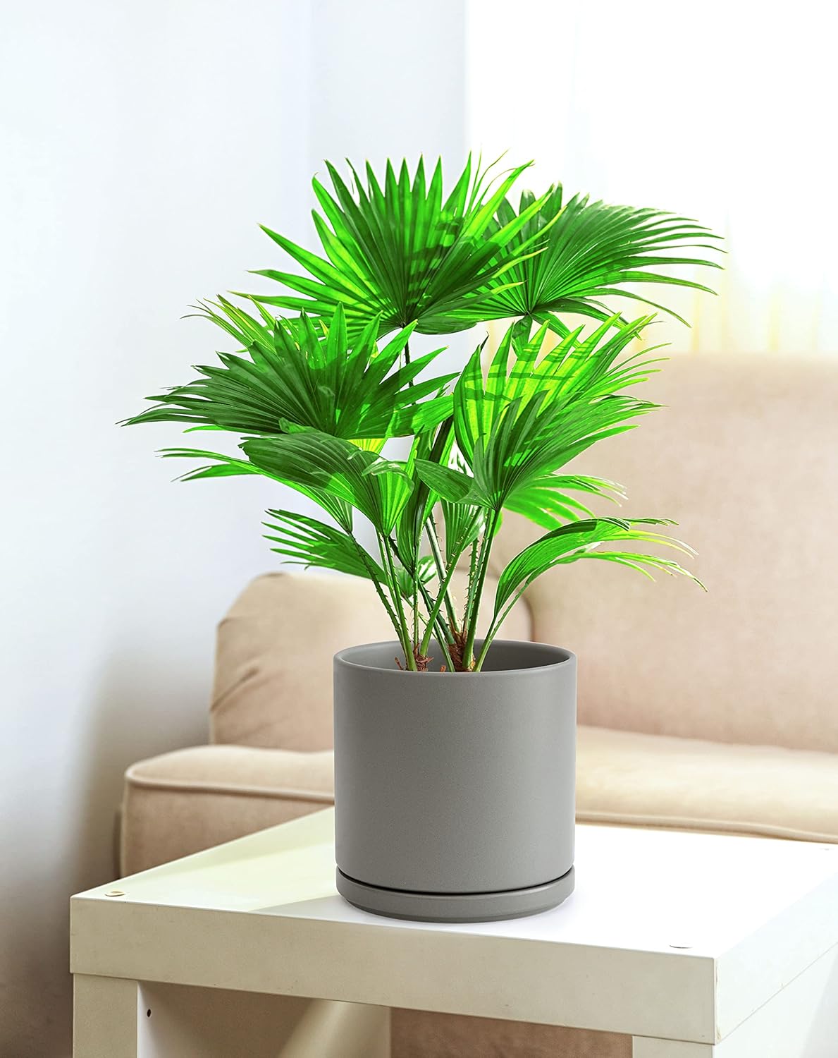D'vine Dev 8 Inch & 10 Inch Ceramic Planter Pot for Plants with Drainage Hole and Saucer, Large