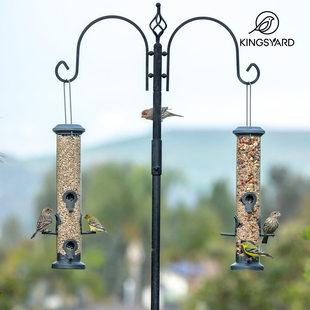 Kingsyard 2 Pack Tube Feeders with 6 Feeding Ports for Outdoors Hanging, Premium Hard Plastic