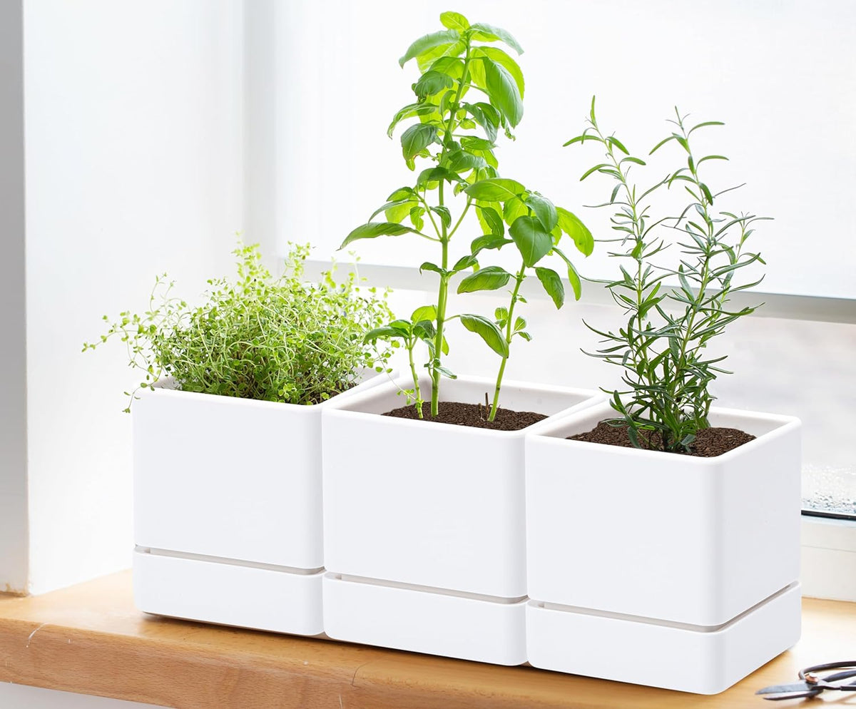 4 Inch Herb Planter Pot, Plastic Planter with Drainage Holes and Saucer, Modern Decorative