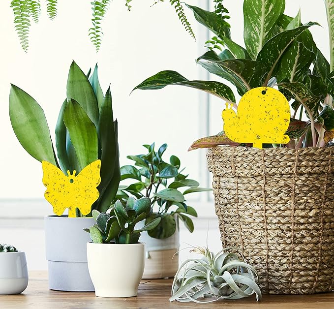 Gideal 48-Pack Dual-Sided Yellow Sticky Traps for Indoor/Outdoor Use, Gnat Trap for Flying Plant