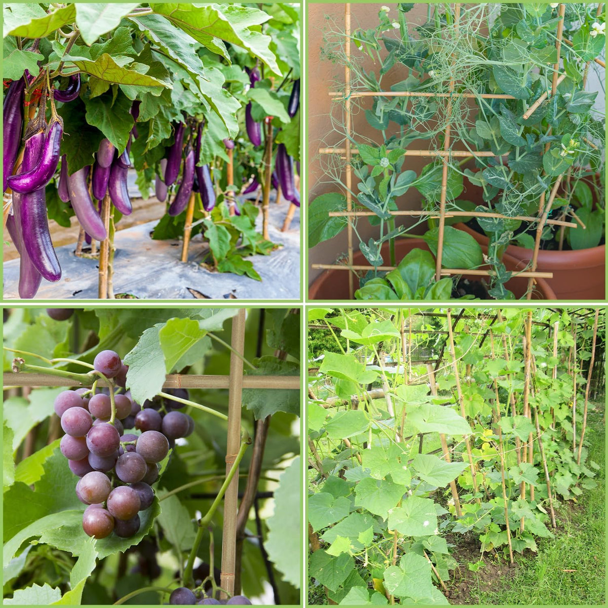 Plant Stakes,3FT Longer Sturdy Natural Bamboo Garden Stakes,GAGINANG 25Pcs Bamboo Sticks Trellis