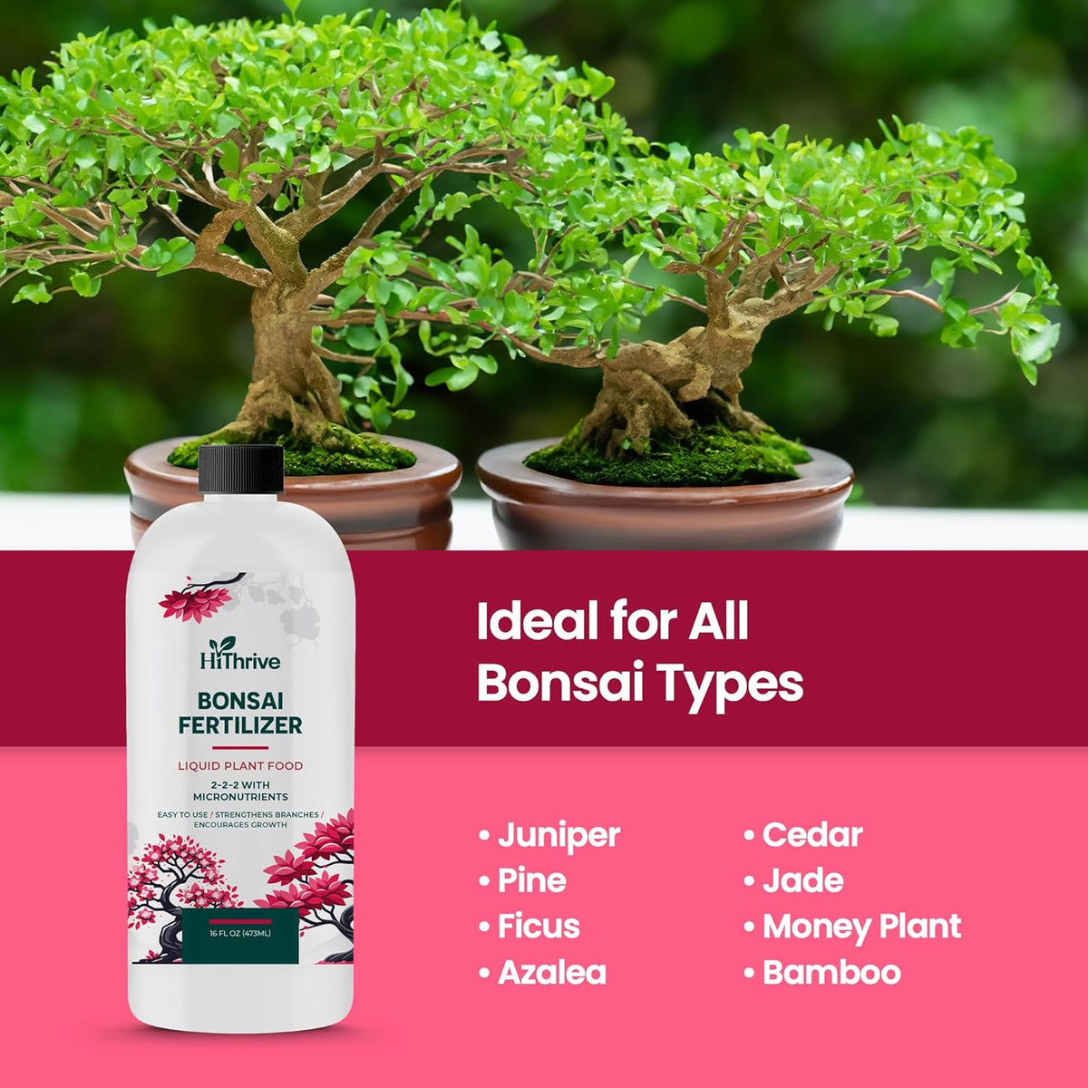 16oz Bonsai Tree Live Liquid Plant Food - Makes 32 Gallons of Bonsai Fertilizer Liquid, Premium