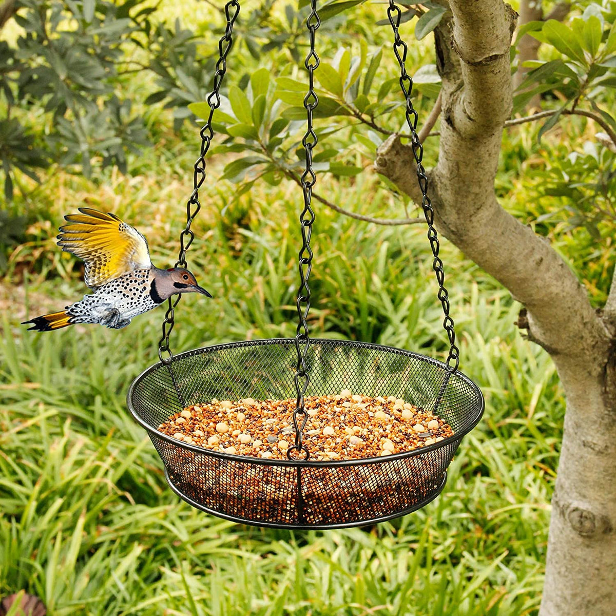 Bird Feeder, Hanging Bird Feeders for Outdoors Metal Mesh Birdfeeder Tray