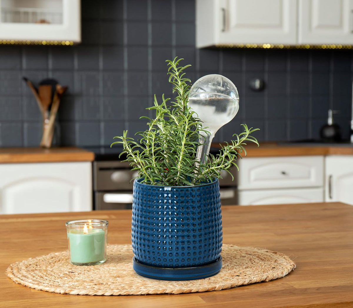D'vine Dev 6 Inch Ceramic Beaded Stoneware Planter Pot - Flower Pot with Drainage Holes and Saucers