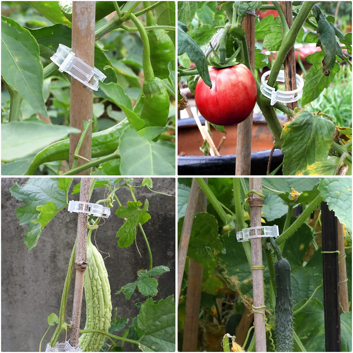 200 Pcs Plastic Trellis Plant Support Clips for Support, Grape and Tomato Vine, Vegetables Plants
