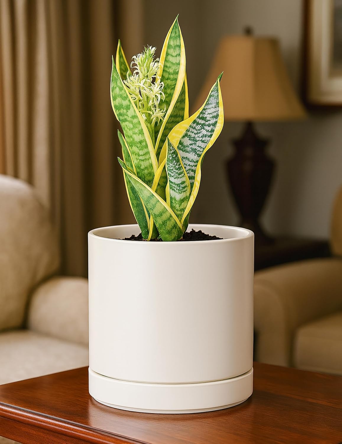 D'vine Dev Set of 2 Plants Pots, 6.5 Inch Ceramic Planter Pot for Plants with Drainage Hole and
