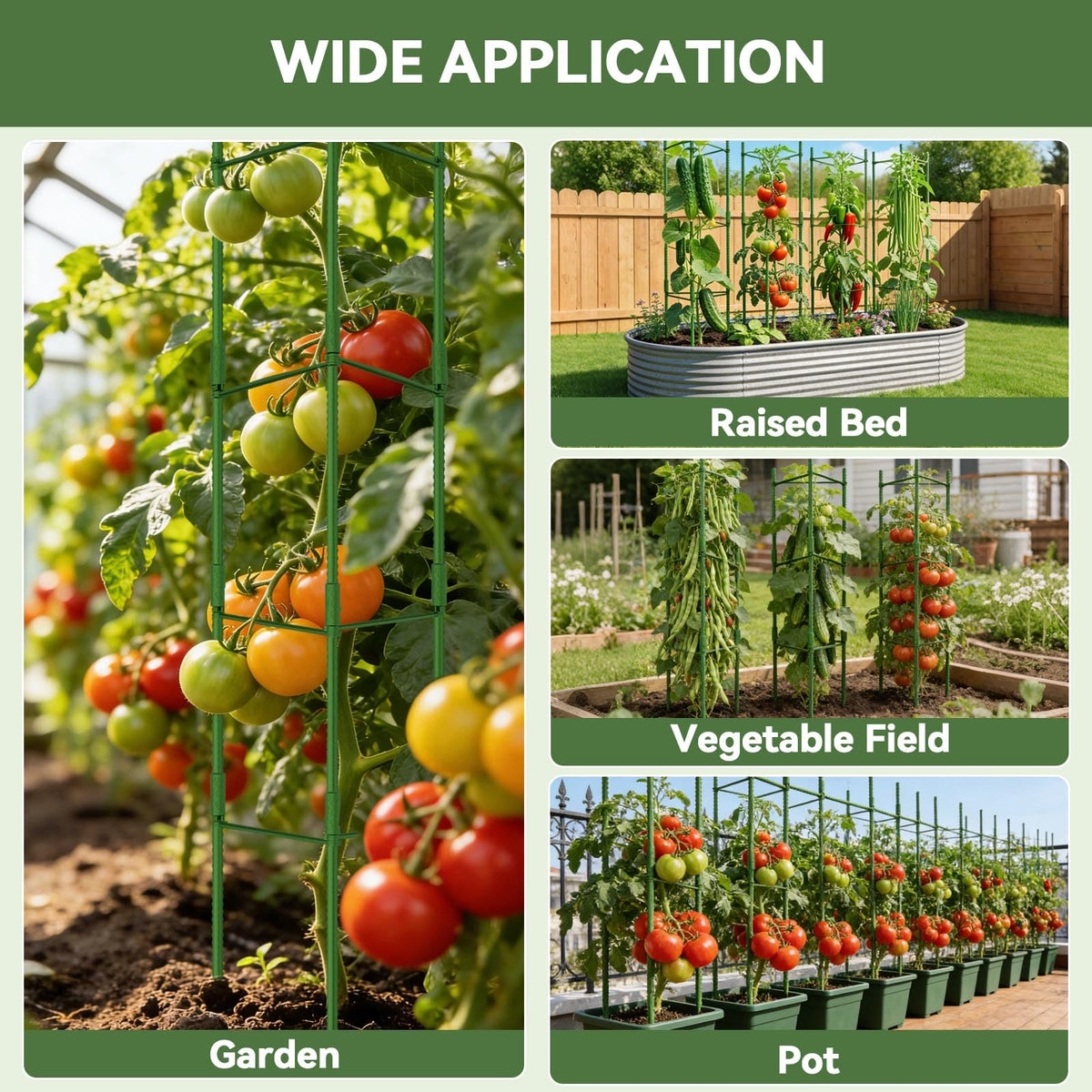 Halatool 6 Pack Tomato Cages for Garden, Up to 63 inch(5.2FT)