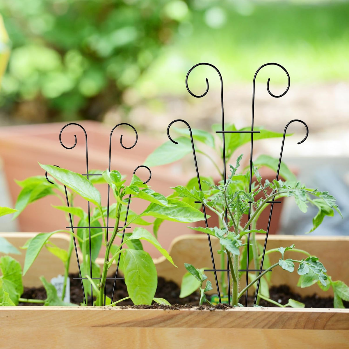 4 Pack 23'' Indoor Plant Trellis for Potted Plants Climbing, Outdoor Metal Garden Trellis