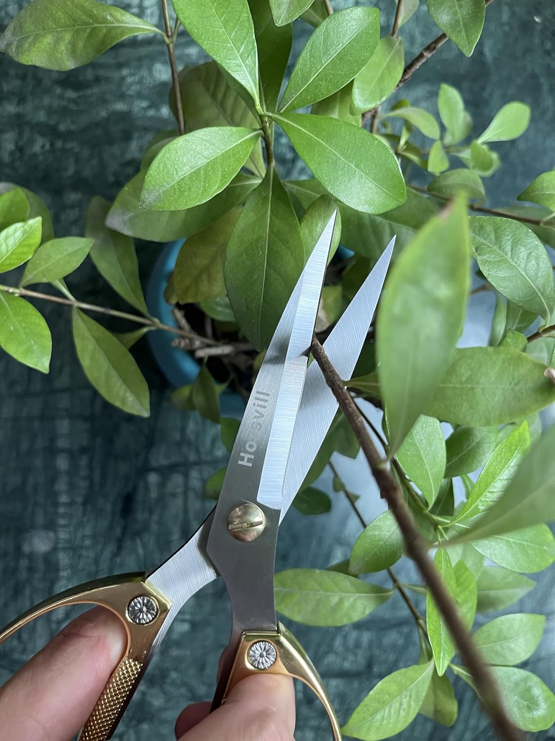 Indoor Plant Shears and Garden Scissors, Houseplant Shears Made of Japan SK5 Stainless Steel