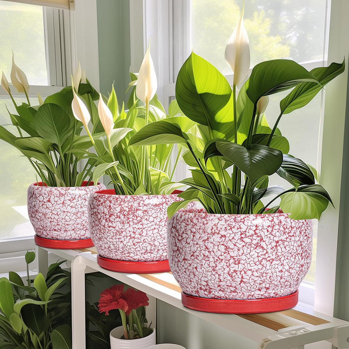 SQOWL Ceramic Pots for Plants - 8 inch Indoor Planter with Drainage Hole and Tray, Ceramic Flower