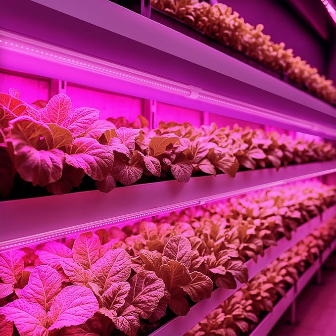 Barrina LED Grow Light, 252W(6 x 42W) 4ft T8, Full Spectrum, V-Shape with Reflector, Linkable