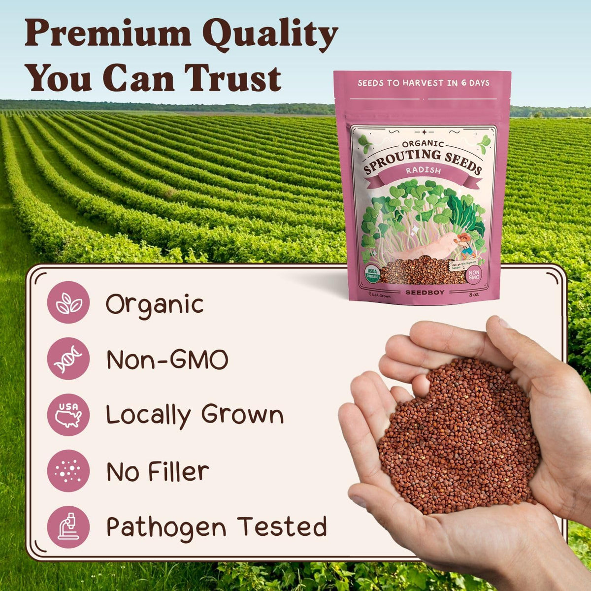 Seedboy Organic Non-GMO Radish Seeds for Sprouting - USA Grown Microgreens Sprouting Seeds - 8 oz
