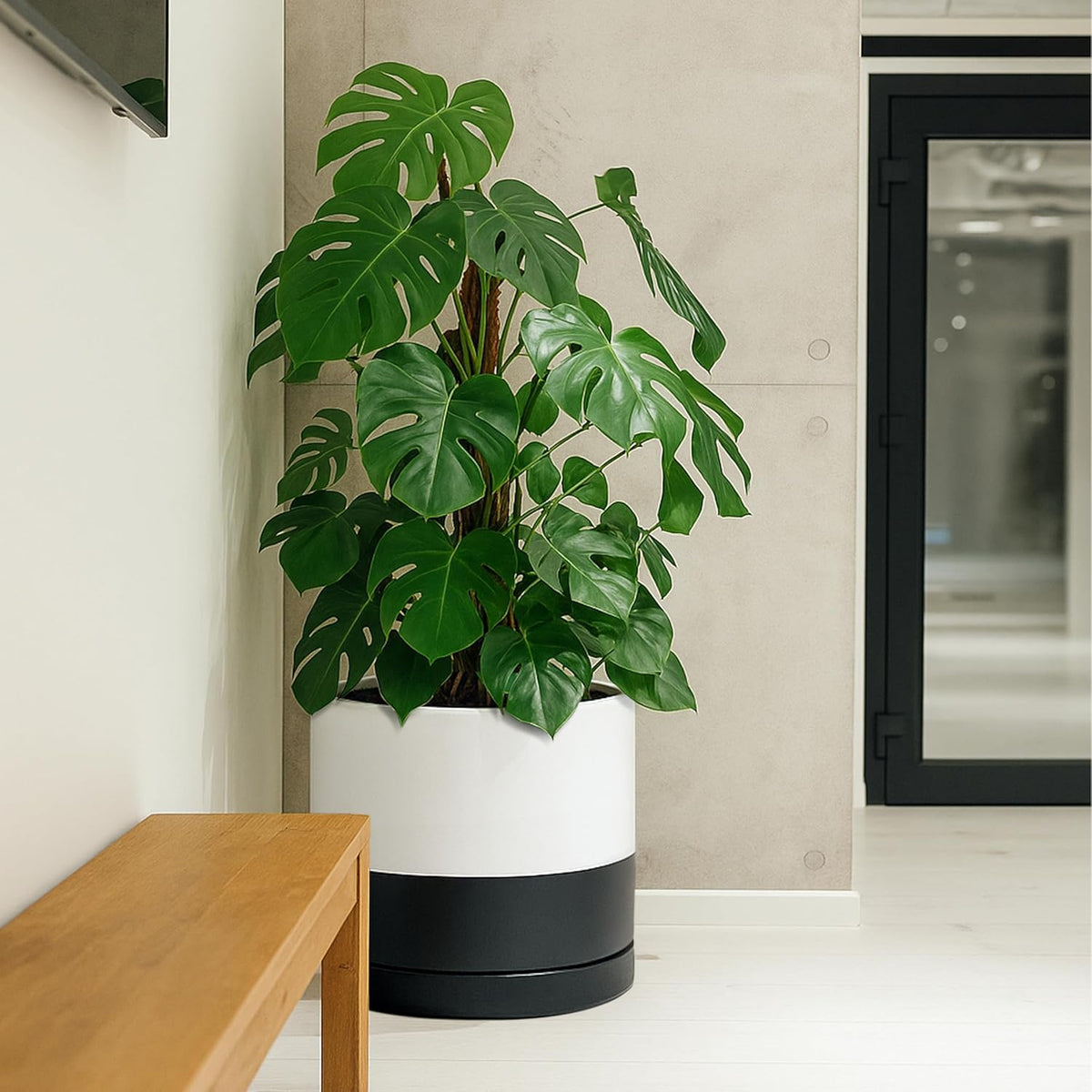 D'vine Dev 14 Inch Ceramic Planter Pot with Drainage Hole and Saucer, Indoor Cylinder Round Planter