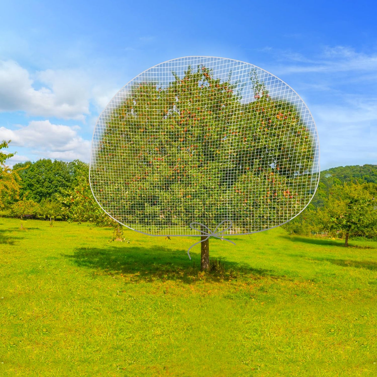 6 x 7 Feet Insect Bird Barrier Netting Mesh with Drawstring, Garden Bug Netting Plant Cover for