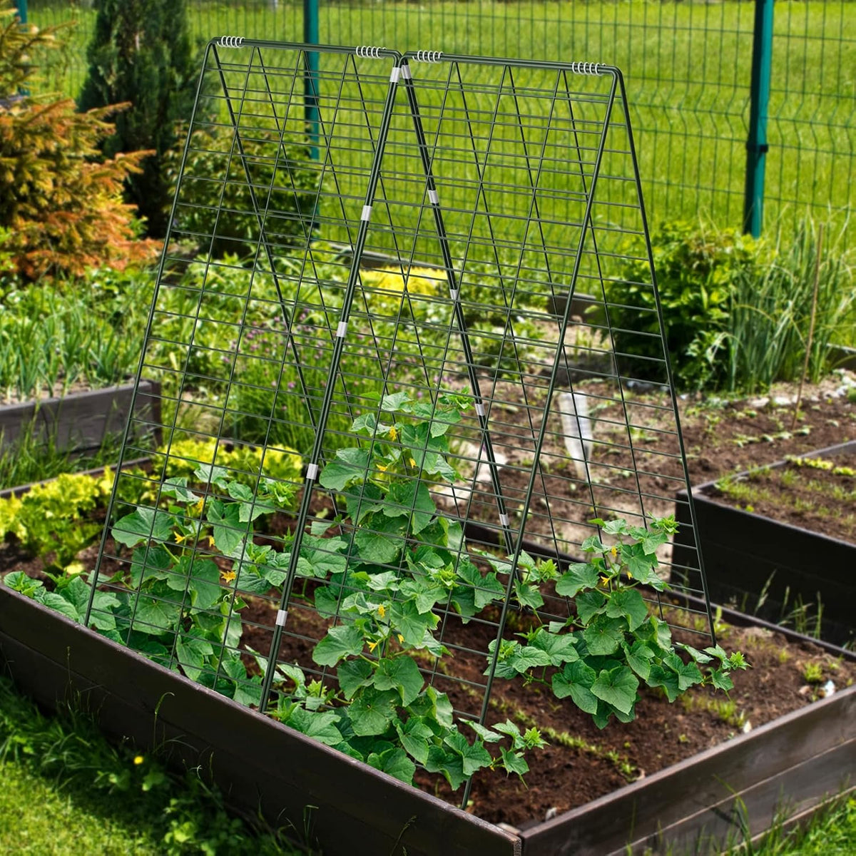 AGTEK 34" x 48" Foldable Cucumber Trellis with Garden Stakes and Zip Ties Plant Support A Frame