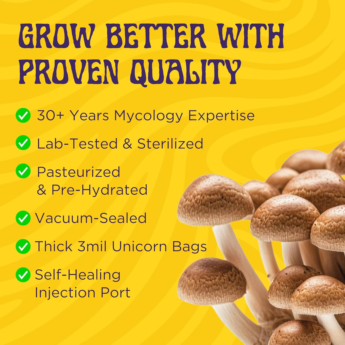 2 LB 2-Pack All-in-One Grow Bag: Up to 32oz of Mushrooms! Nutrient-Enhanced, Injection Port, Just
