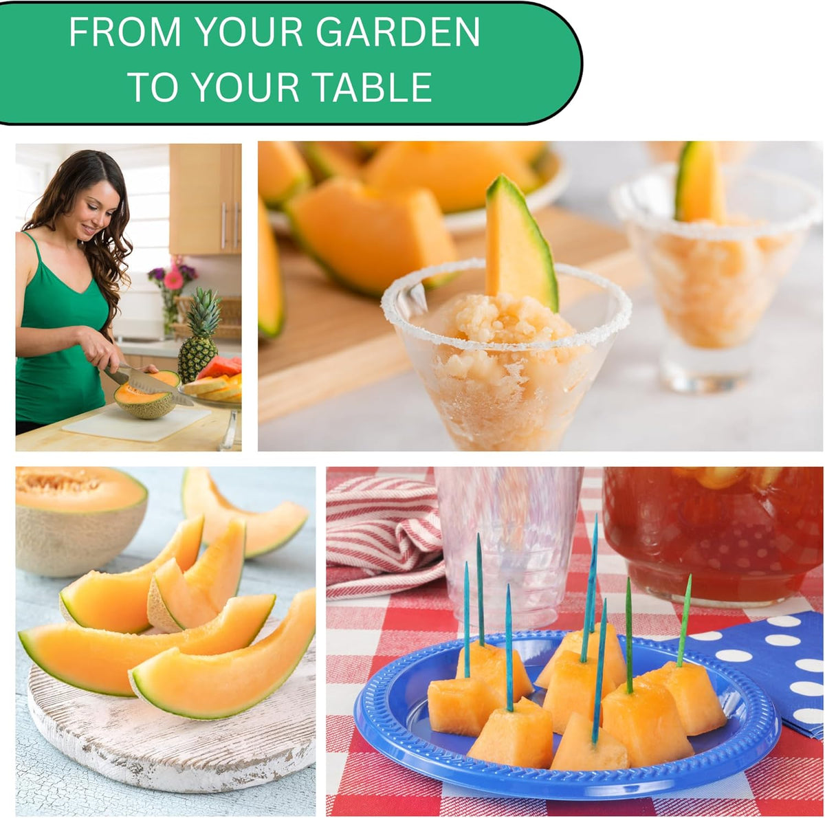 Woods Creek Seeds: Hales Best Jumbo Cantaloupe Melon Seeds for Planting - Over 130 Heirloom Non-GMO