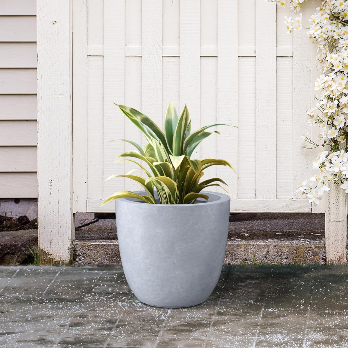 Kante 14 Inch Dia Round Concrete Planter, Indoor Outdoor Large Plant Pot with Drainage Hole and