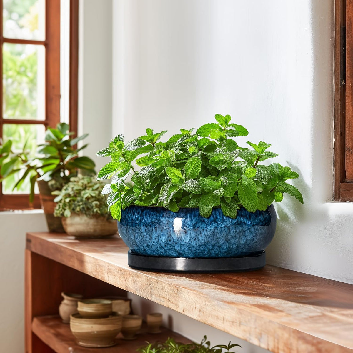 Bonsai Tree Pots 10 Inch - Ceramic Succulent Pot with Drainage Hole and Saucer, Bonsai Pots for