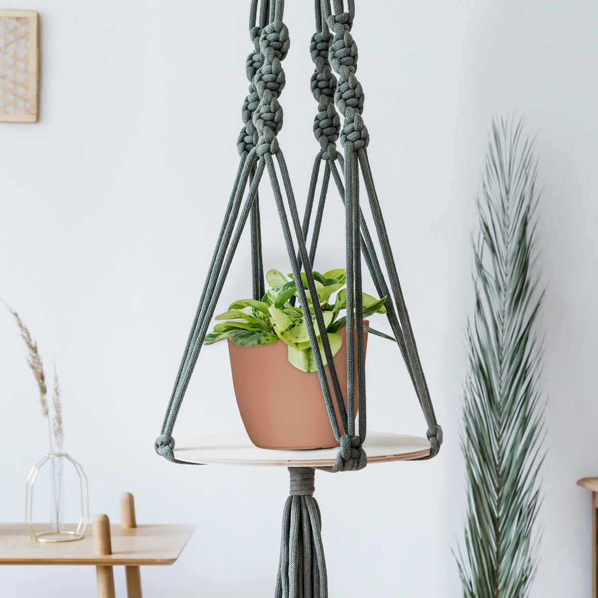 Plant Pots Indoor with Drainage, 5 Pack Multi-Size Planters Set, Terracotta