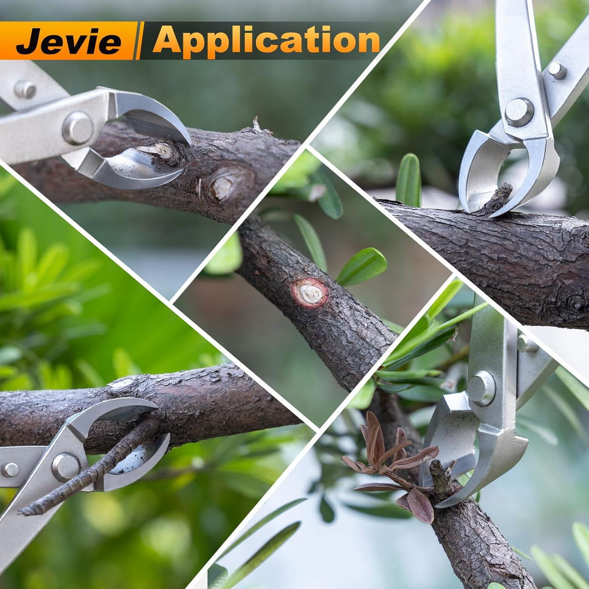 8 inch Concave Cutter, Stainless Steel Cutter for Bonsai & Gardening Pruning, Supplied By Jevie