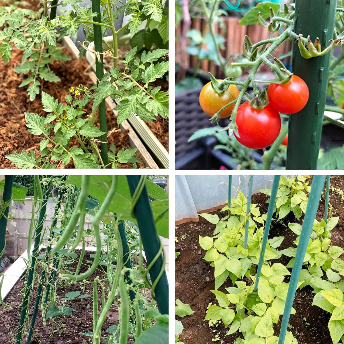 Garden Stakes 4FT Tomato Stakes for Outdoor Plant Support, 0.43 inch Diameter Plant Stake Sticks