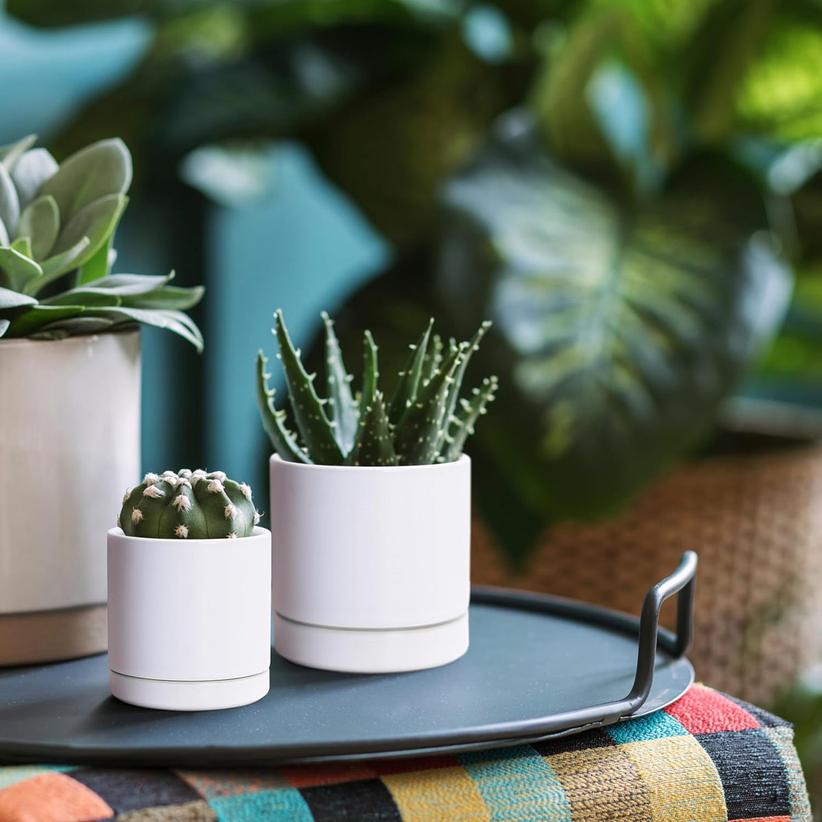 D'vine Dev 3.5 Inch & 4.7 Inch Ceramic Planter Pots for Plants with Drainage Hole and Saucer