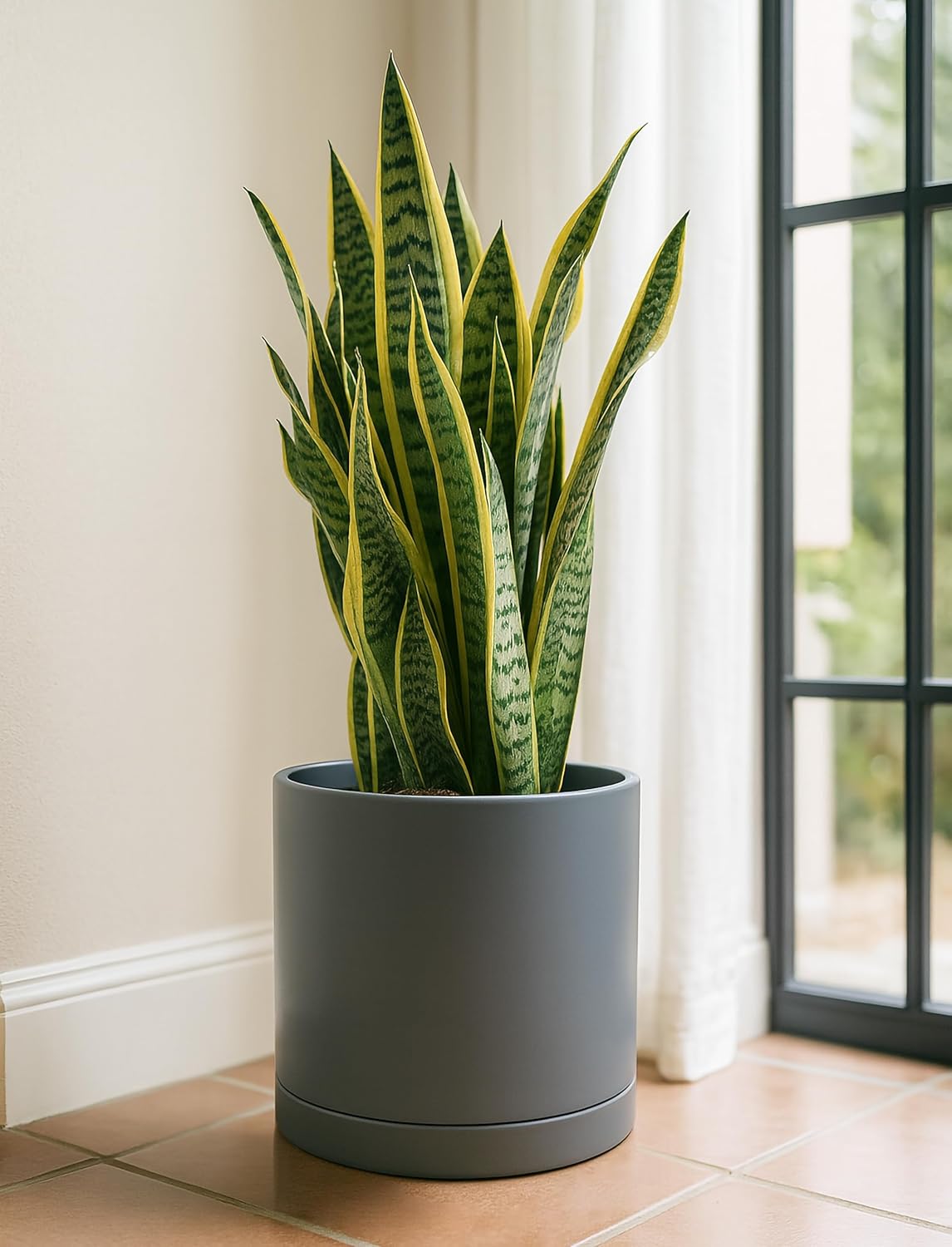 D'vine Dev 12 Inch Ceramic Planter Pot with Drainage Hole and Saucer, Indoor Cylinder Round Planter