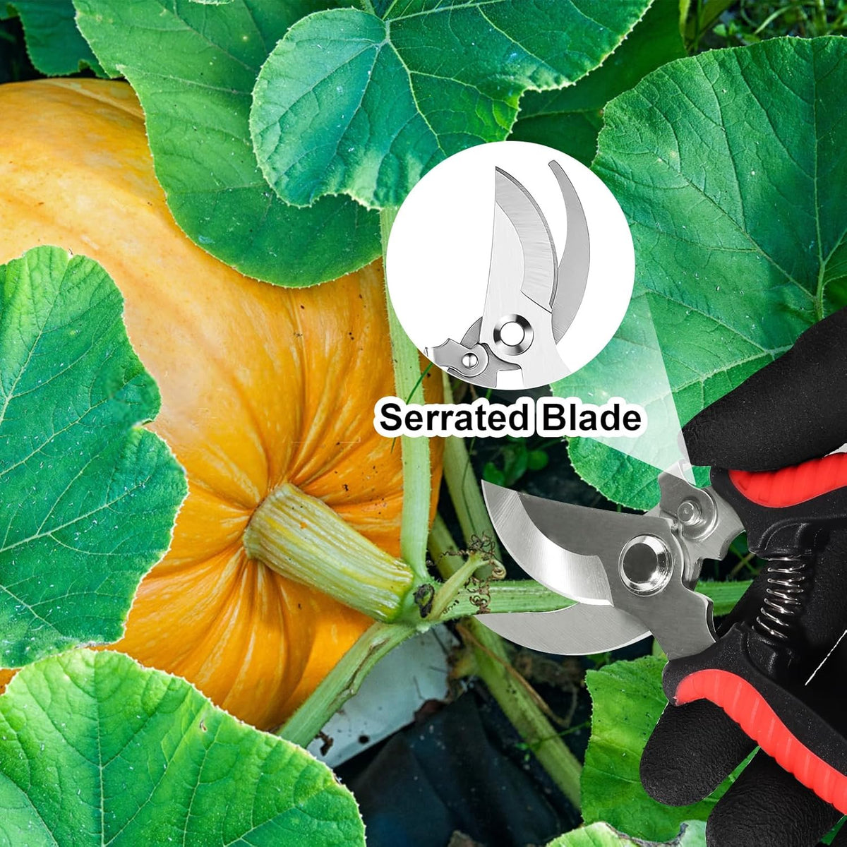 4 Pack Garden Shears Scissors,Pruning Shears, pruning shears for gardening Stainless Steel Blades
