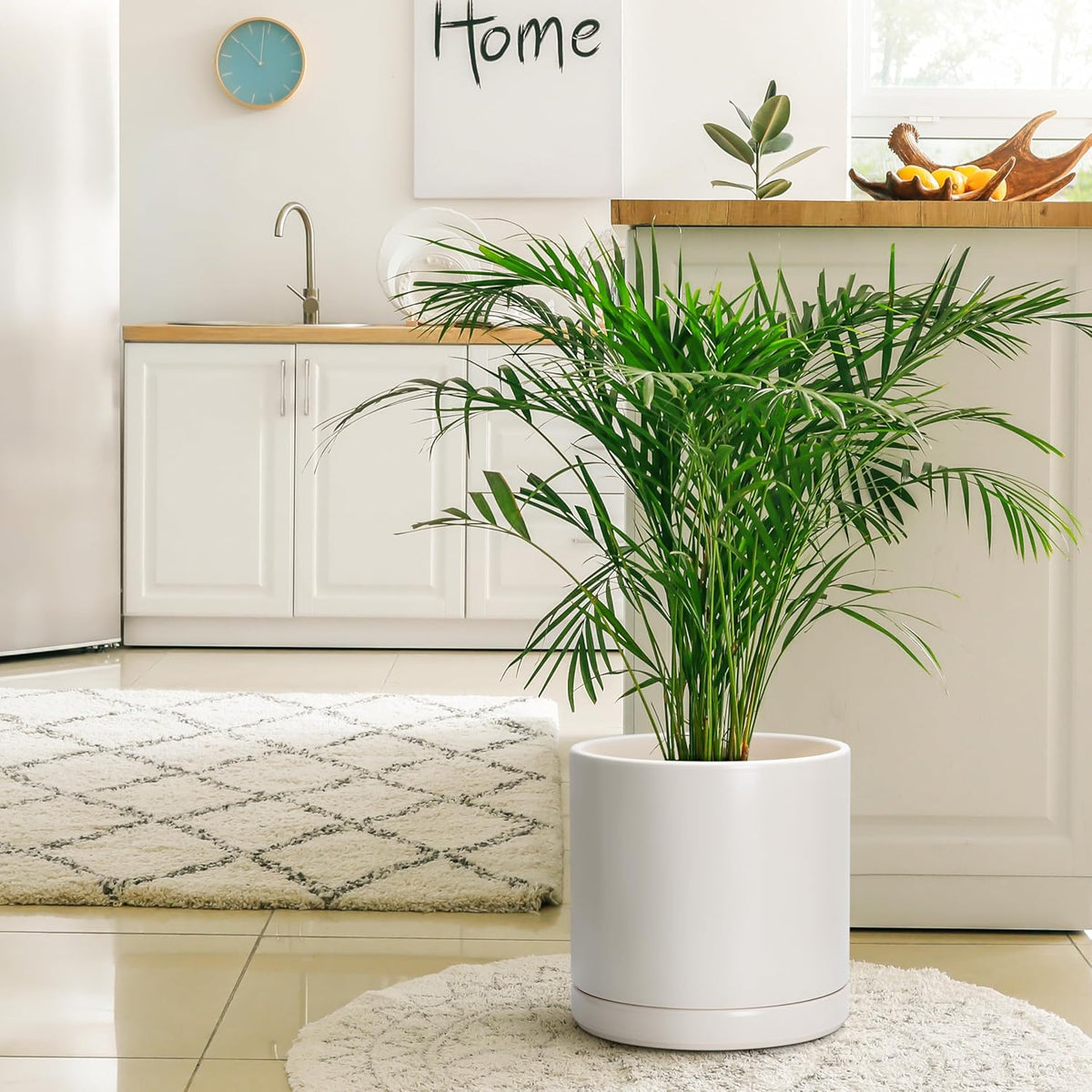 D'vine Dev 12 Inch Ceramic Planter Pot with Drainage Hole and Saucer, Indoor Cylinder Round Planter