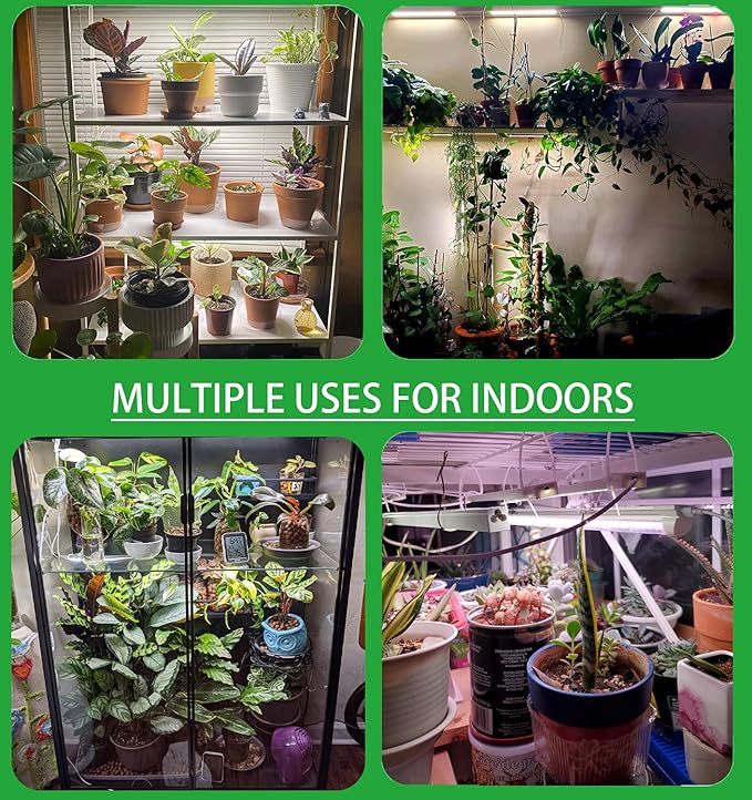 Plant Lights for Indoor Plants, Full Spectrum Growing Lamps for Indoor Plants, Auto On & Off Timer