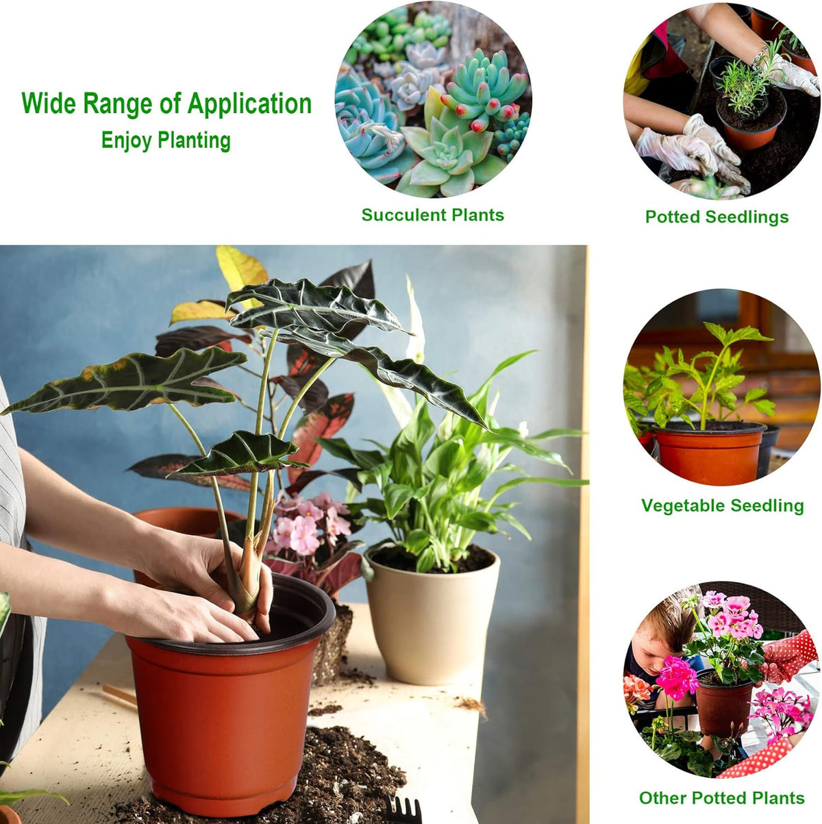 Augshy 110 Pcs 6" Plastic Plants Nursery Pot, Seed Starting Pots for Succulent Seedling Cutting