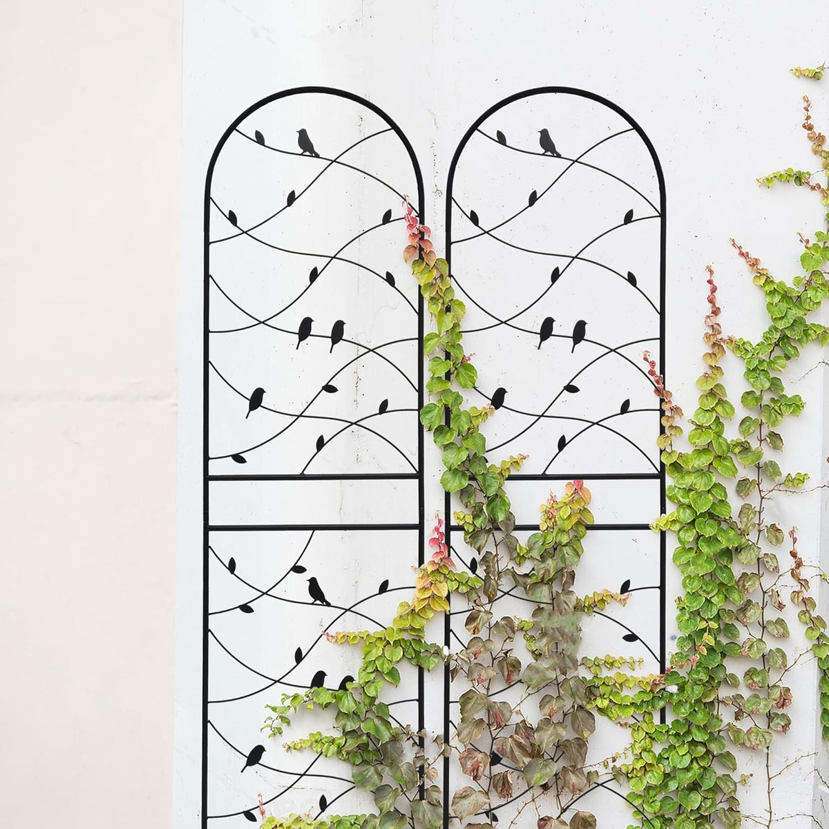 4 Pack Metal Garden Trellis 71" Tall Outdoor Climbing Plant Support for Roses, Flowers, Rustproof