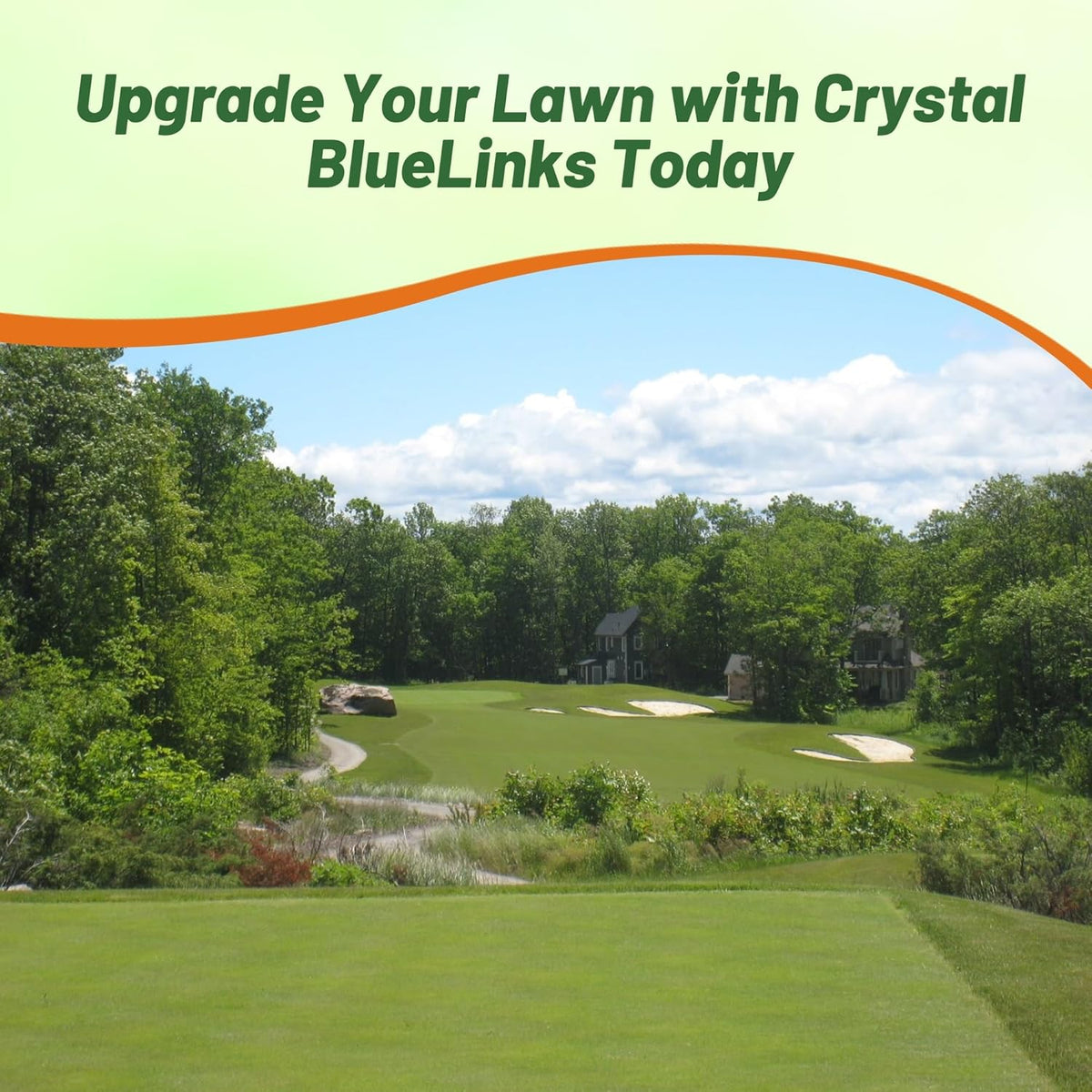 Outsidepride Crystal Bluelinks Creeping Bent Grass Seed - 5 lbs. Dense Turf Grass for Golf Greens &