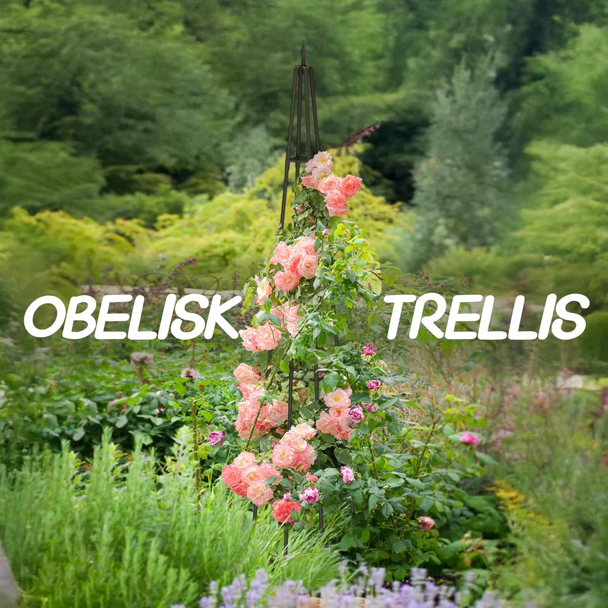 Obelisk Trellis for Climbing Plants Outdoor,6 Ft Garden Trellis for Potted Plants, Metal Trellis