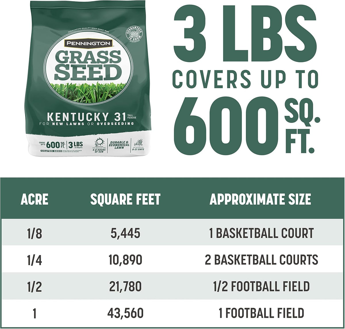 Pennington Kentucky 31 Tall Fescue Penkoted Grass Seed 3 lb
