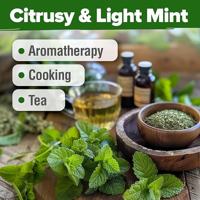 HOME GROWN π¨π¦π π£π₯ππ ππ¨π Lemon Balm Seed Pack - 403 Non-GMO USA Heirloom Herbal Tea Seeds