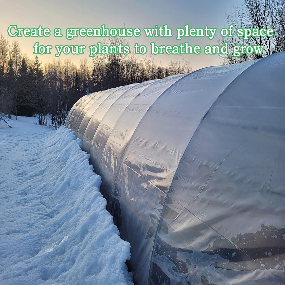 6.5FTx10FT Greenhouse Plastic Sheeting, 6 Mil Thick Clear Polyethylene Film, Waterproof Wind Frost