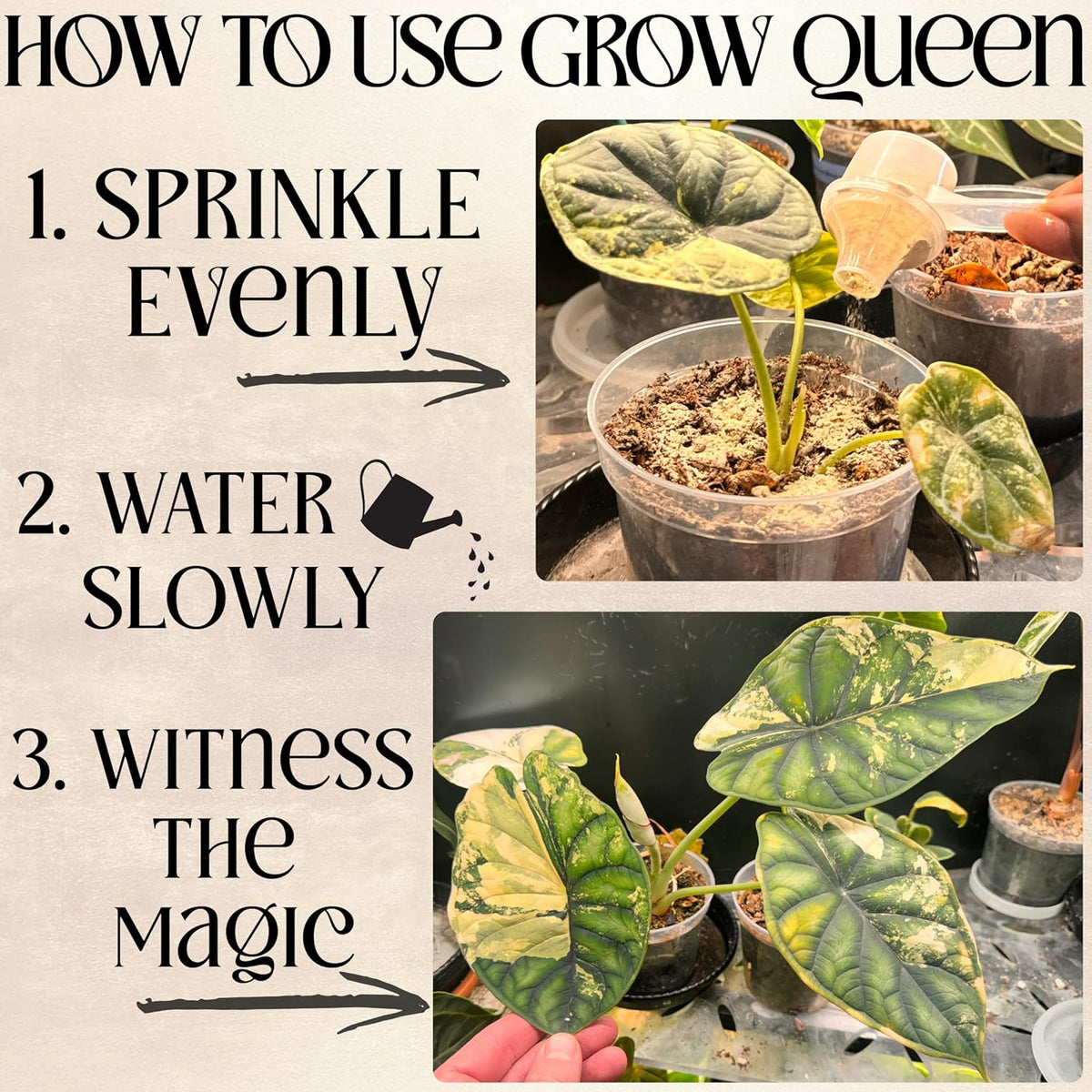 Organic Plant Food, Indoor Plant Food for Houseplants & Aroids, Organic Fertilizer for Flower &